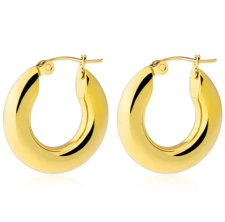 

Exaggerate Big Circle Earrings Titanium Thick Chunky Hoop Earring Stainless Steel Simple Classic for Women Gold Plated 5MM
