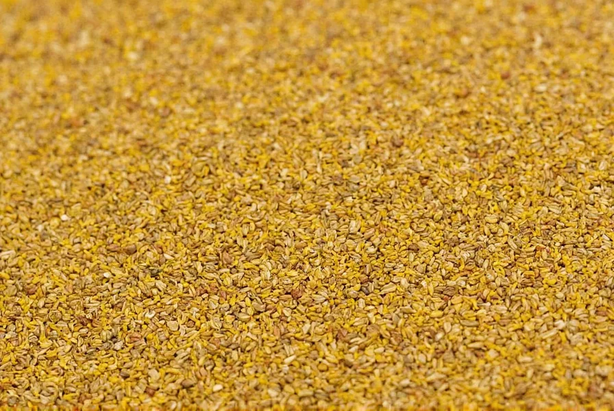 Mustard Seed Conclusion