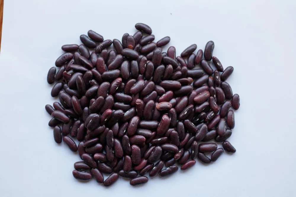
VIETNAM ORIGINAL RED KIDNEY BEANS 