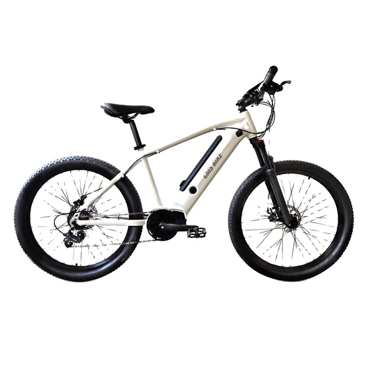 

China Factory Hot Sale Electric Fat Tire Bikes 26 Inch Mountain Electric Bicycle E-Bike for Adults