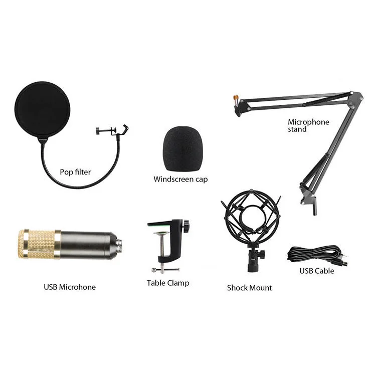 

Professional Music Vocal Recording Studio Equipment Condenser Microphone Set for Recording and Singing