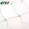 Plant Supporting Garden Nets, 2mx10m green plastic Plant support netting/Pea and Bean