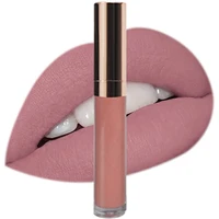 

Private Label Cosmetics Wholesale Custom waterproof Makeup Matte long lasting Liquid Lipstick