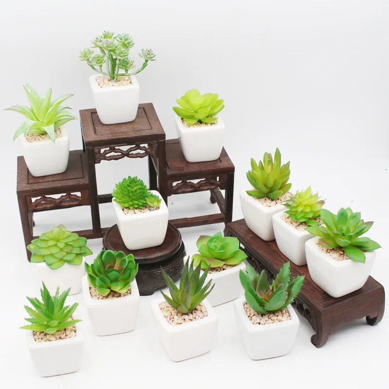 

Lovely Home Decoration Of Artificial Plastic Fleshy Potted Plants