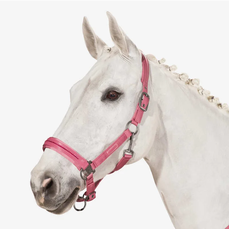 

High Quality Adjustable Horse Halter Handy Halters Horse Racing Head Collar Equestrian Equine Products Customize Equip