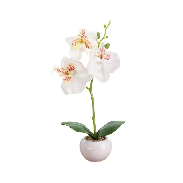 

Wholesale Silk Carnation outdoor artificial flowers For Mother's Day Flowers