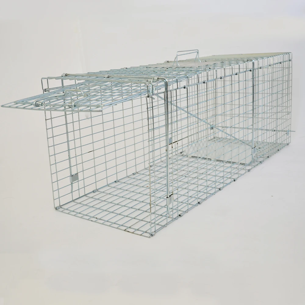 

Large Collapsible Humane Live Animal Trap Perfect For Raccoons, Stray Cats, Gopher