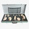 Advanced Embryo Development Process Simulator Model