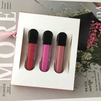 

Makeup Cosmetic Wholesale Waterproof Liquid Matte Lipstick Set Custom Privtae Label 3PCS Lipgloss Kits