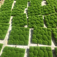

V-3083 Hot sale Artificial Stone Moss Green Grass Wall For Decoration