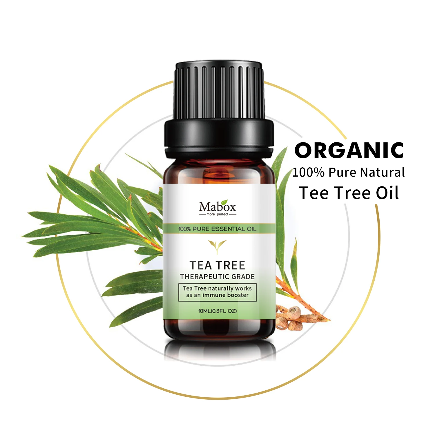 

Mabox Organic Tea Tree Oil 100% Pure Natural for Face Skin and Hair Great for Aromatherapy Diffuser Massage