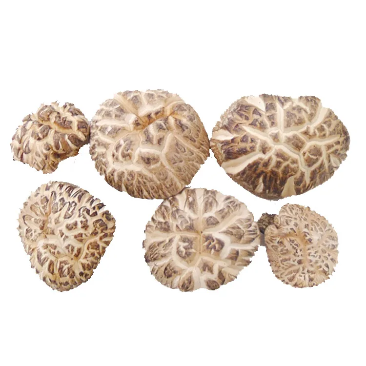
Wholesale white flower shiitake mushroom dried Japanese for cooking 