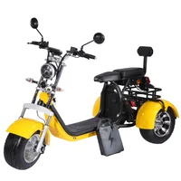 

EEC Certificate 3 Wheels 2000W Electric Scooter Citycoco With Fat Bike Tire For Adult