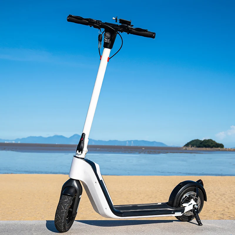 

2021 NEW Removable battery 10Ah 10 inch 1000W 50km Long Range Fat Tire moped electric scooter