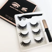 

Magnetic Eyelashes with Eyeliner Magnet False Eyelashes Magnetic Eyelashes and Liner Set