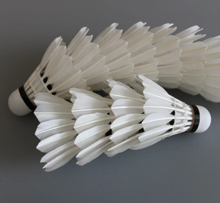 
shuttlecock 