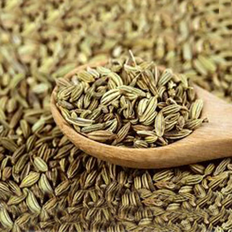 Good Quality Fenugreek Fennel Seeds Black And Green Buy Fennel Seed