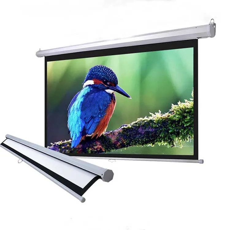 Easy Installation Ceiling Hanging Projection Screen Projector Manual Screen