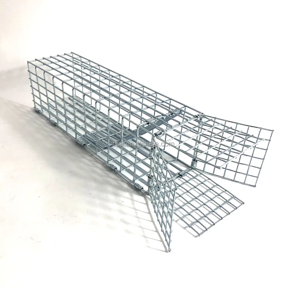 

Large animal hunting foldable trap for pigeon weasel ferret, Silver