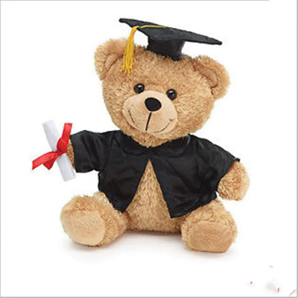 graduation teddy bear card factory