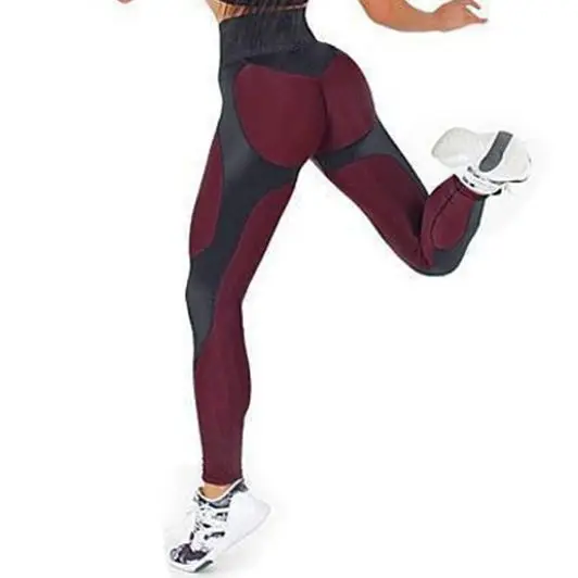 

Alphalete Seamless Workout pant Yoga Suit Sport Fitness Clothing gym maillot Chlorets Active Wear Women Yoga Fitness Leggings