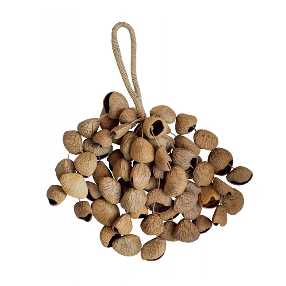 Hand Shaker Pangi Seed Shell Shaker/Nutshell Percussion Authentic Traditional Rattle (Natural)
