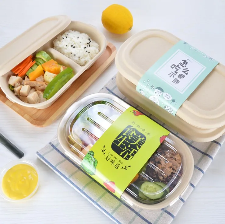 

Food Grade 100% Disposable Bamboo Pulp Eatware Biodegradable Bento Box Eco Friendly Takeaway Boxes, Brown