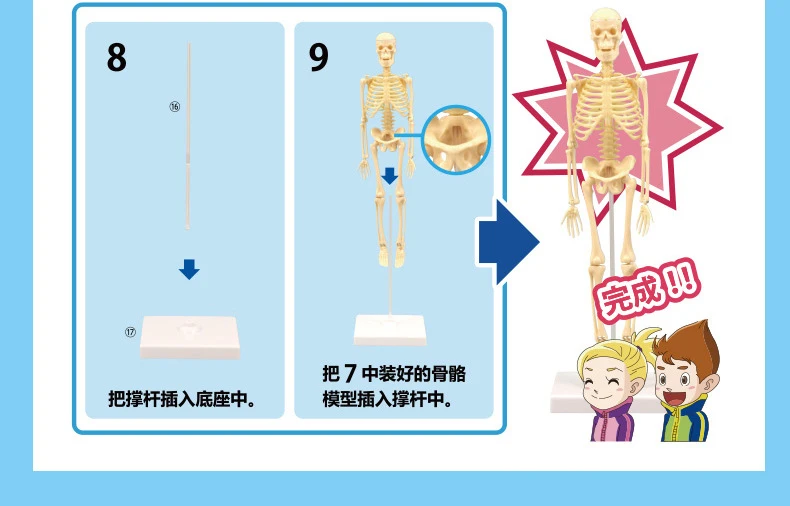Kids Biology Learning Diy Kit Mini Wooden Human Model Skeleton Toy