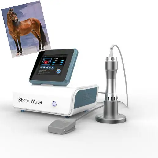 

Electromagnetic Shockwave therapy for racehorses and pleasure horses, White