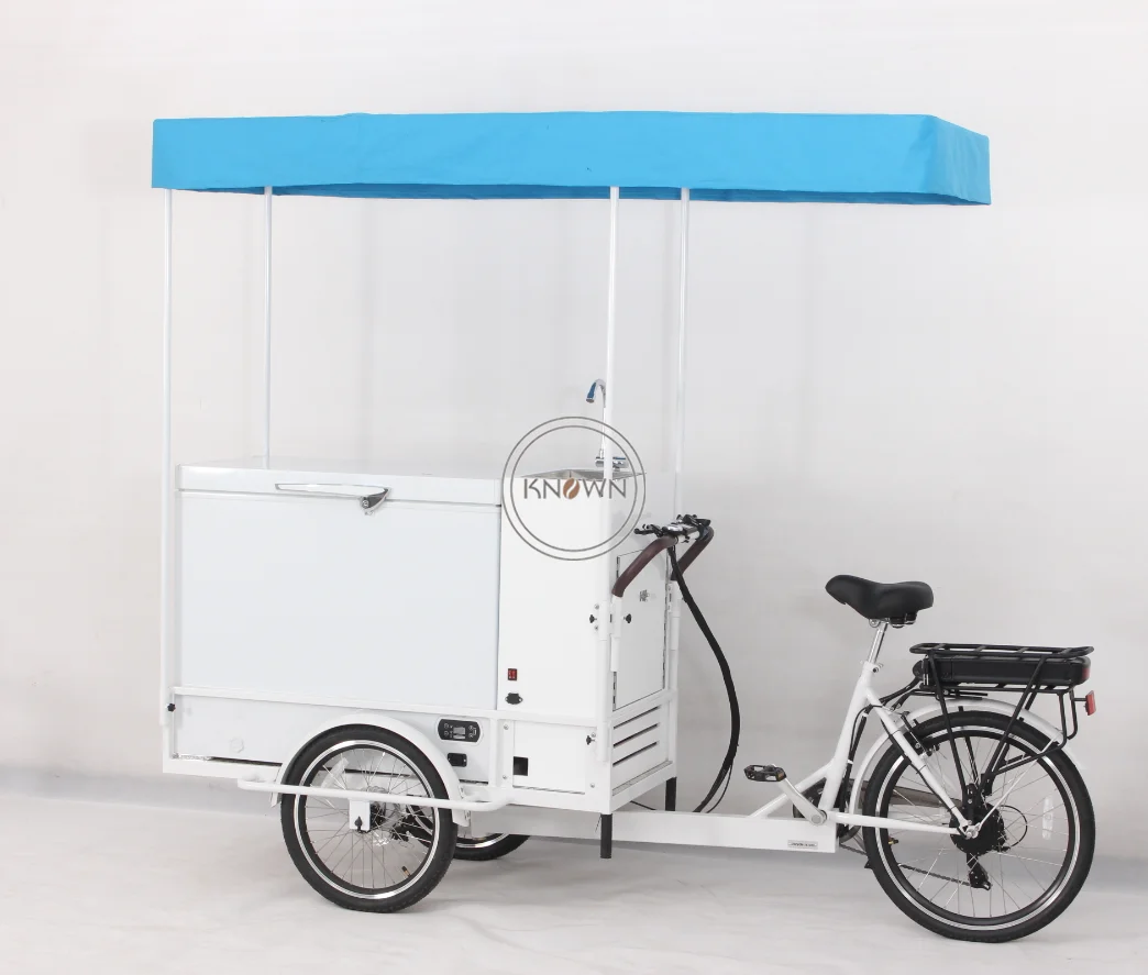 

2022 Electric 200L Fridge Popsicle Tricycle Kiosk Cargo Bike Adult Tricycle Freezer Bicycle for Cold Drinks with Mini Refrigerator
