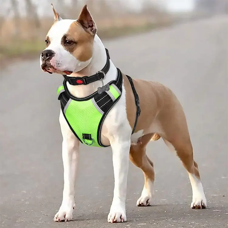 

2021 New Cushion Lightweight Pet Dog Safety Harness Adjustable Soft Padded Air Layer Dog Harness, Customized color