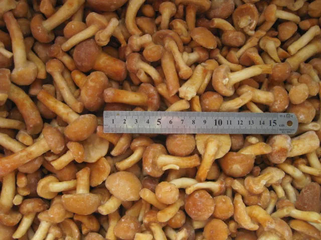 
BRC Certified IQF Frozen Nameko Mushroom 