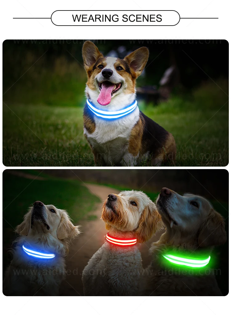 Best Super Led Dog Collar Pet Supply 2020 New Trend Pet Products Wholesale No Fears Led Flow In the Dark Collar
