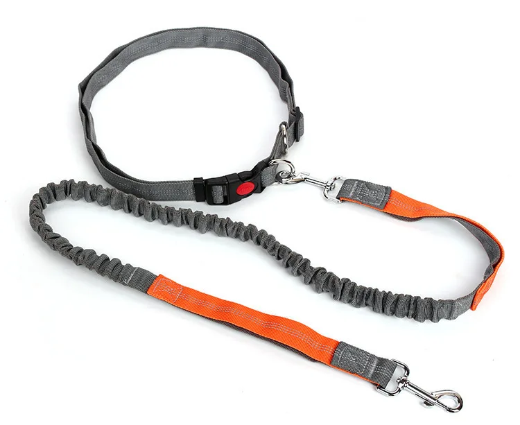 

Hands Free Dual-Handle Reflective No Pull Shock Absorbing Bungee Dog Leash with Adjustable Waist Belt for Running Walking, Colourful