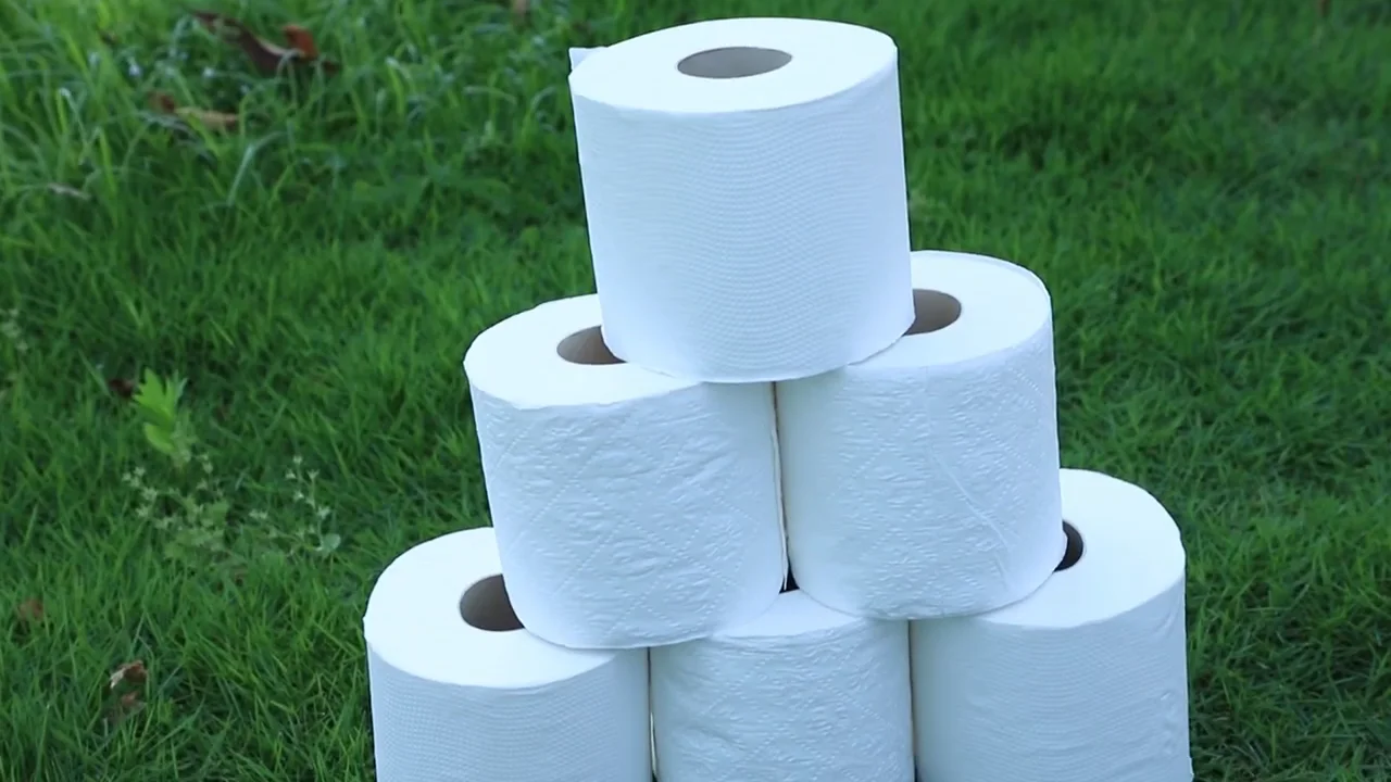 Biodegradable Customized Bulk 3ply Bamboo Paper Toilet Roll Buy