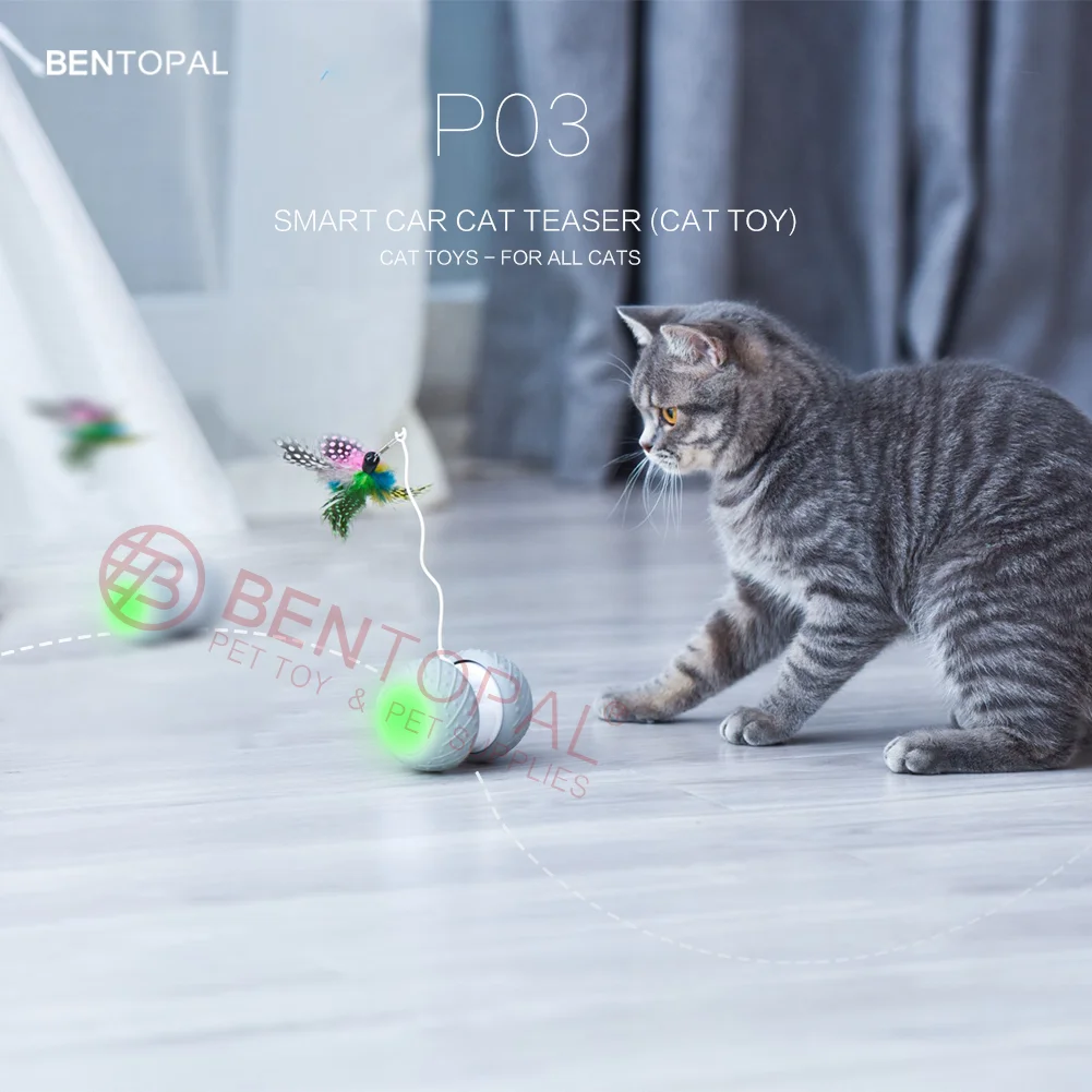 
Indoor Feather Automatic Interactive USB Charging Cat Toys 