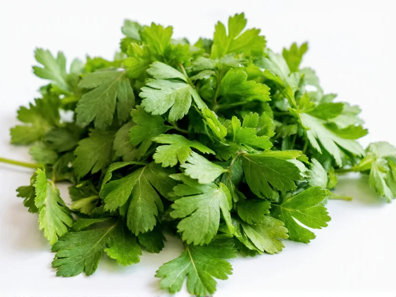 Can You Replace Parsley with Cilantro? Flavor Guide