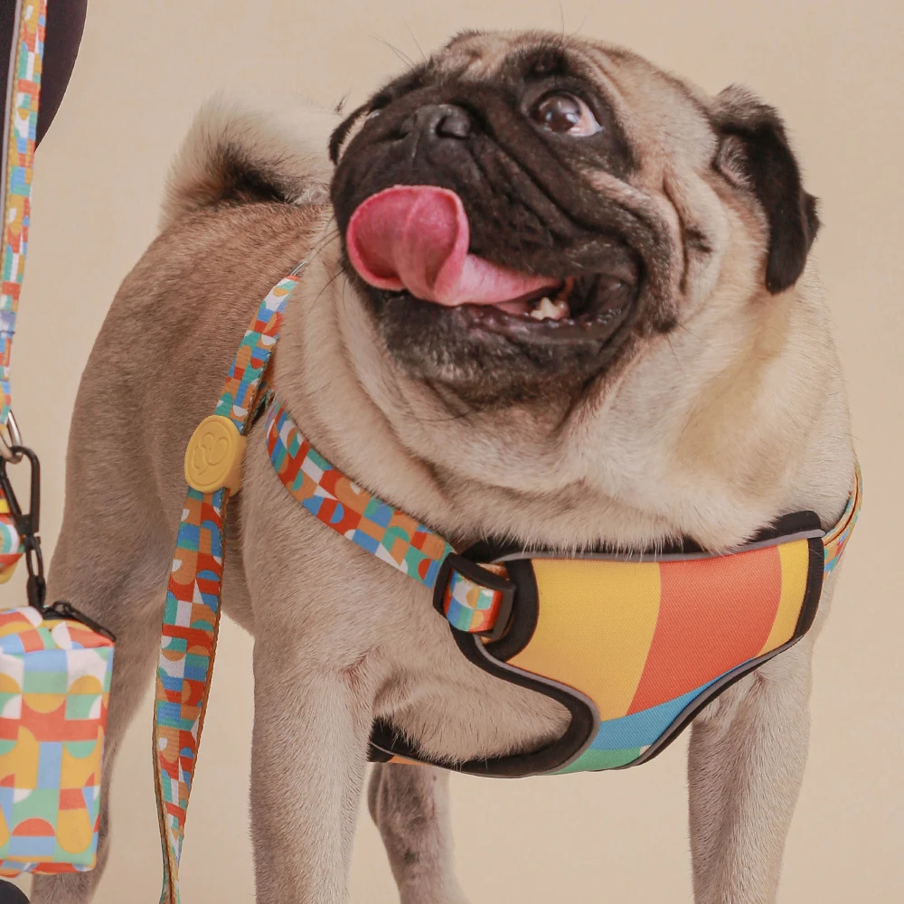 

Pet Safe Easy Sport Dog Harness Soft Padded Dog Harness with reversible function in 10 designs wholesale, 10 colors