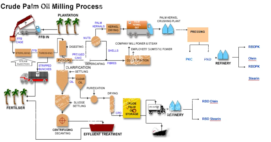 Supply plant. Palm Oil Production process. Oil refining process. Palm Oil refinery process. Схема добывания пальмового масла.