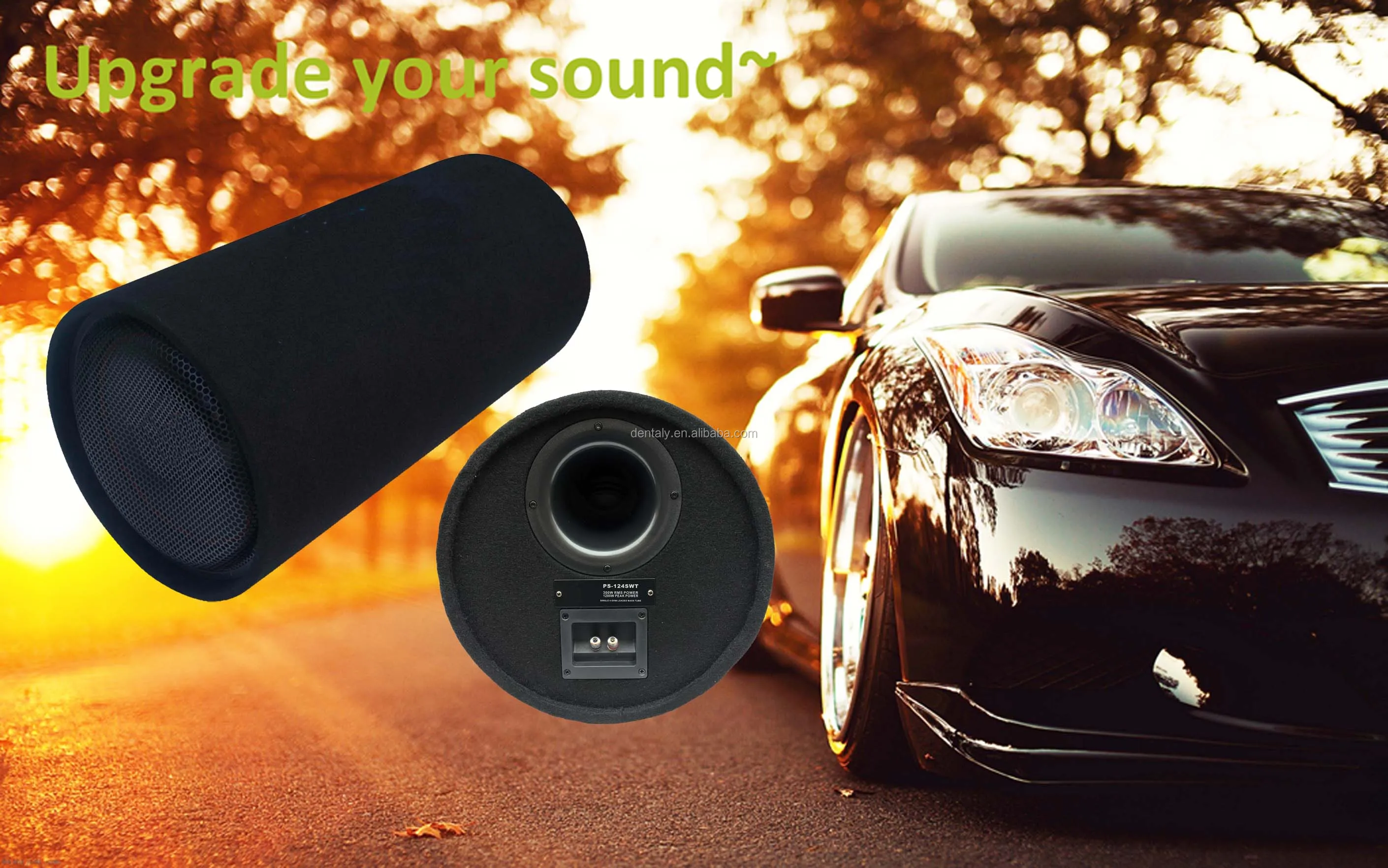 12inch Bass Tube 300w Speaker Box Bass Subwoofer Enclosures Ported