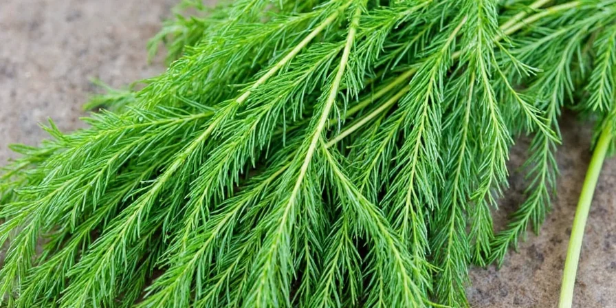 A final celebration of dill's benefits