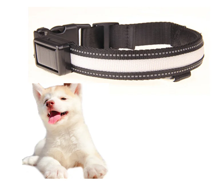 
Best Selling solar LED Light Dog Collar Safety USB Solar Charge Dog Collar for Pet 