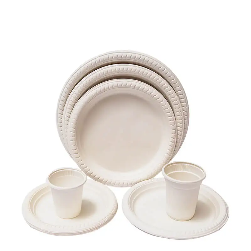 

Biodegradable plates disposable and cutlery 9, White/black/yellow/green