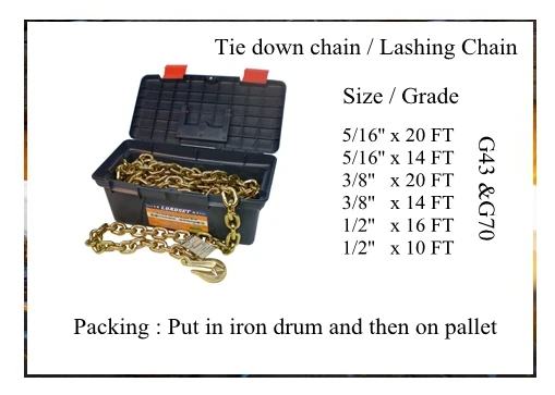 lashing chain_.jpg
