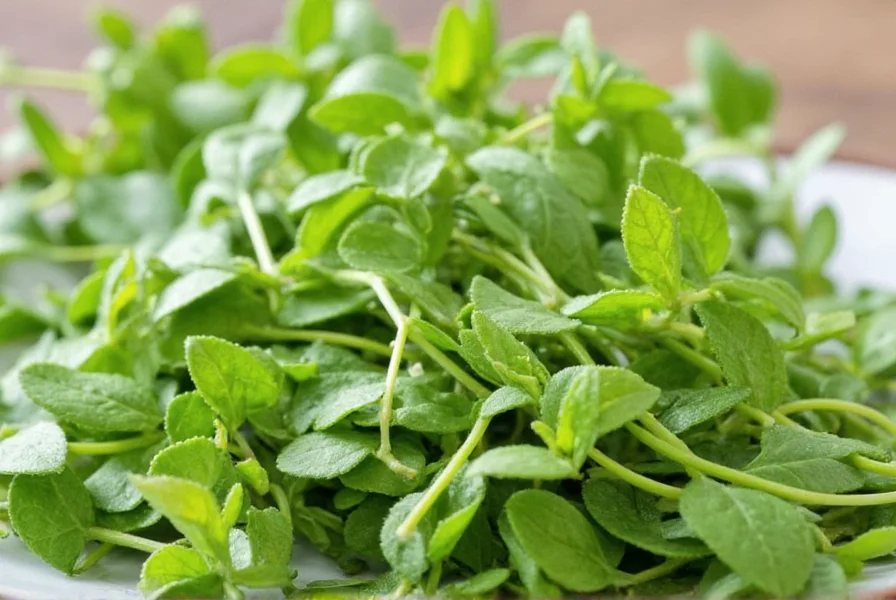Fresh marjoram from farmers market