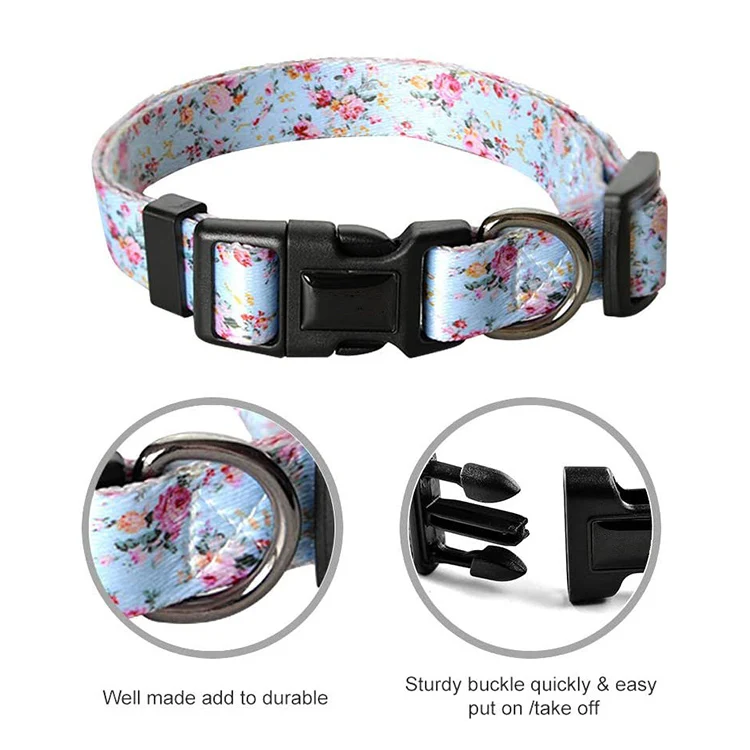 Pet Collar-77