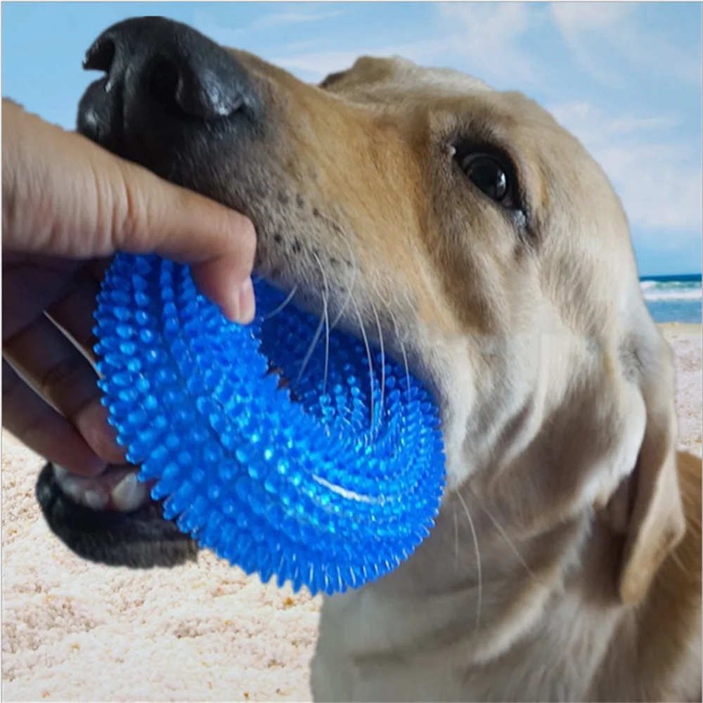 

fashion designs 2021 pet iq training toy amazon ebay lazada hotsale Dental Durable Dog Chew Sound Pet Toy Ball pet toys chew, Blue orange purple green