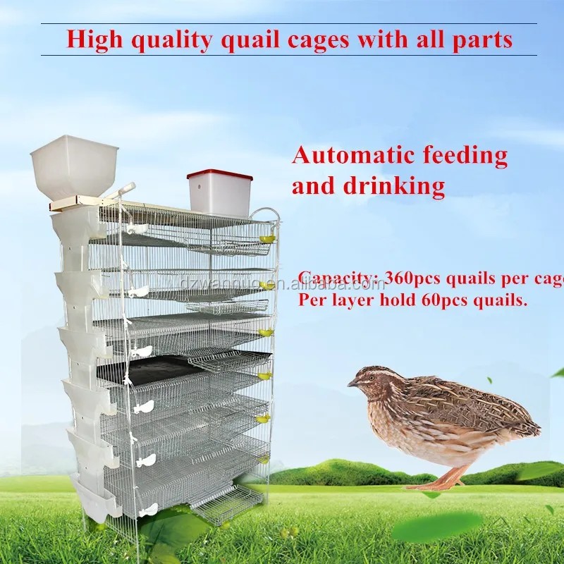 Wholesale Breeding Cage Quail Cages Great Quality Chicken Cages For
