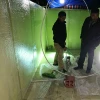 Anti-corrosive FRP gel sheet for concrete protection