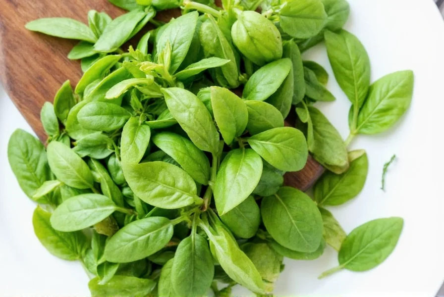Glass jars filled with dried basil on a shelf